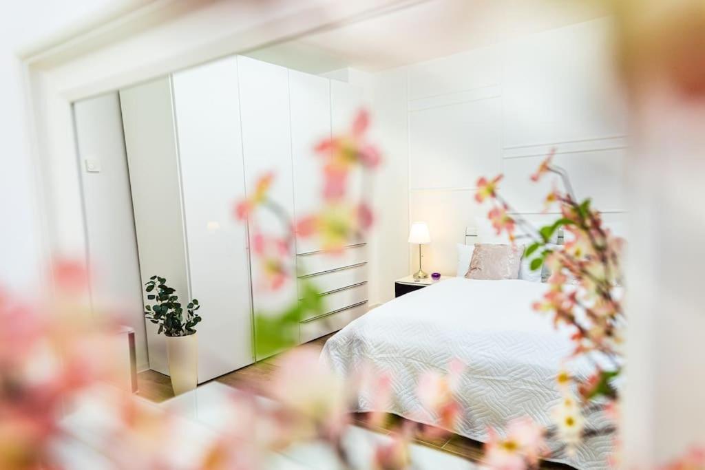 Charmante Wohnung In Koblenzer Innenstadt Koblenz  Kültér fotó